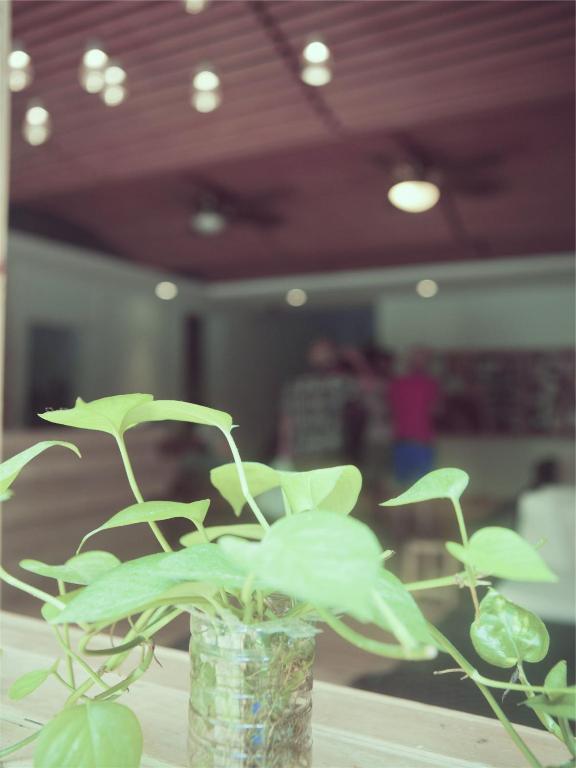 Sanya Bluesky International Youth Hostel Dış mekan fotoğraf